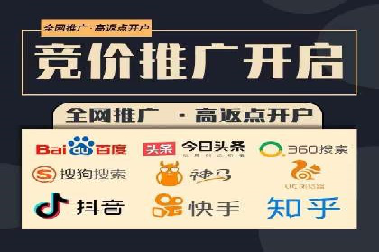 竞价推广中的着陆页策略：成功案例解读
